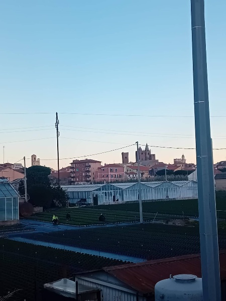 immagine annuncio 5 di 9