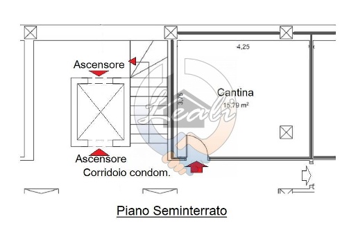 immagine annuncio 5 di 6