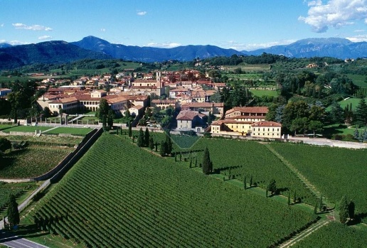 immagine annuncio 10 di 14