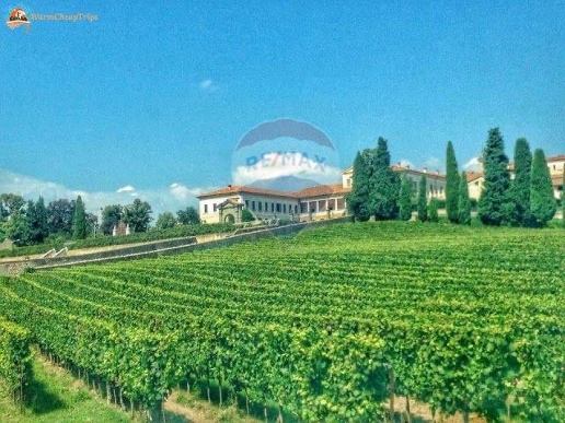immagine annuncio 12 di 14