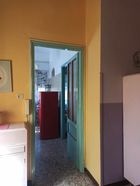 immagine annuncio 5 di 14
