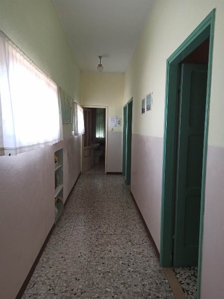 immagine annuncio 9 di 14