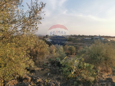 Foto Terreno agricolo in Via Campo Sportivo, Misterbianco di 16000 m²