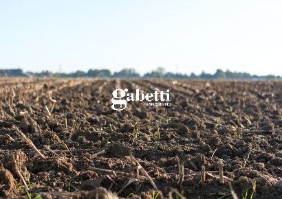Foto Terreno agricolo a San Pietro Viminario di 14328 m² in vendita