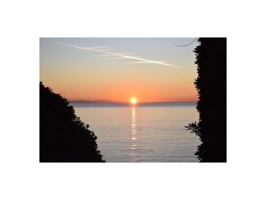 Foto Appartamento in VIA CELLINI, Rosignano Marittimo Castiglioncello