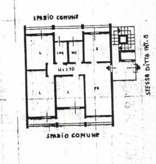 immagine annuncio 12 di 13