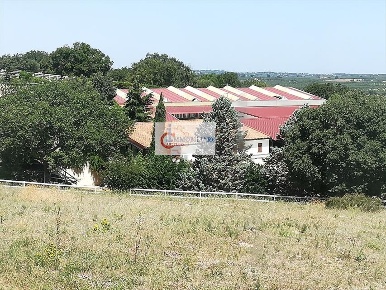 Foto Agriturismo in SP238 km 25, Ruvo di Puglia in vendita