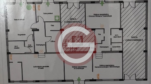 Foto Attività commerciale a Taurianova Centro di 210 m² in affitto
