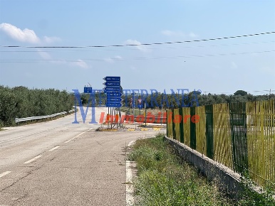 Foto Magazzino in Strada Provinciale 234, Ruvo di Puglia di 7000 m²