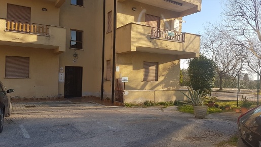 Foto Ufficio in Terme di Pompeo, Ferentino Centro di 40 m² con 2 locali