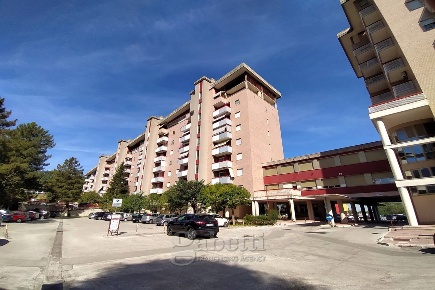 Foto Negozio in Molise, Campobasso Via XXIV Maggio, CEP di 222 m²