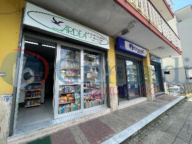 Foto Negozio in Corso italia 151, Quarto di 25 m² con 2 locali in vendita