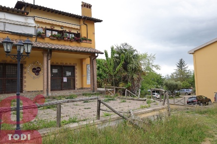 Foto Negozio in Via CESARE E LUIGI AGRETTI 22, Monte Castello di Vibio