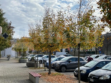 Foto Negozio in Piazza DELLA REPUBBLICA 2, Mogliano Veneto Centro di 40 m²