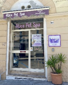 Foto Negozio in Via Roma 104, Sassari San Giuseppe di 28 m² con 1 locali