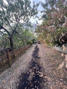 Foto Cessione attività in Via Azienda agricola strada di Collespino 2,