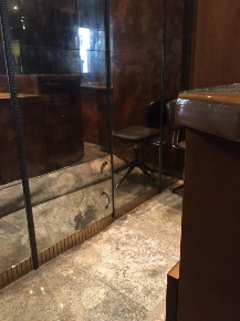 Foto Negozio in Via ADRIA via chieppara 59, Adria Centro di 23 m²