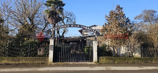 Foto Negozio in Strada pinerolo 120, Cumiana di 300 m² con 8 locali