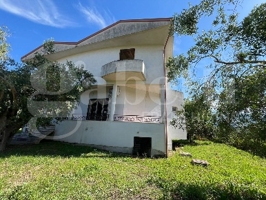 Foto Ufficio in delle Palme, Calvi Risorta di 750 m² in vendita