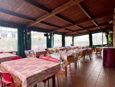 Foto Attività commerciale in Piazza della Libertà, Cecina Cecina Centro