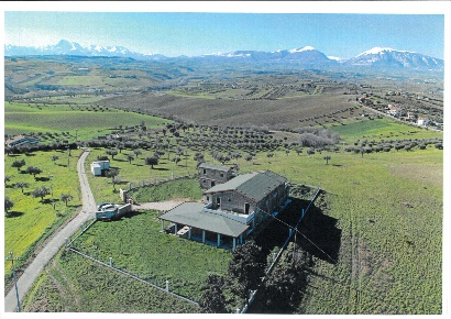 Foto Attività commerciale a Tortoreto Terrabianca di 610 m² con 15 locali