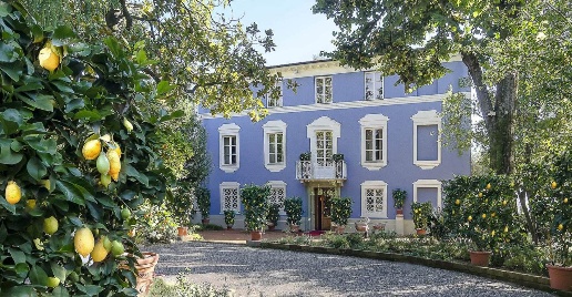 Foto Attività commerciale in Via di Vicopelago e di Pozzuolo, Lucca