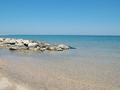 Foto Attività commerciale a Fano San Biagio - Roncosambaccio di 200 m²
