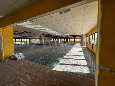 Foto Attività commerciale in Via del Mercante 38, Rovigo Borsea, Santa Rita