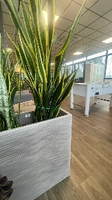 Foto Locale commerciale in Via Circonvallazione Nuova, Rimini Grotta Rossa