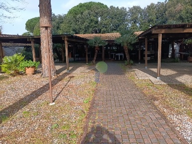 Foto Attività commerciale in Via Aurelia Nord, Cecina di 500 m² in vendita