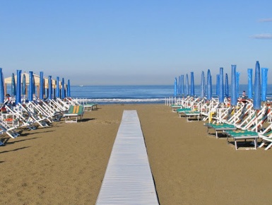 Foto Attività commerciale a Viareggio Centro in vendita