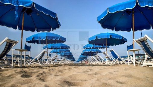 Foto Attività commerciale a Pietrasanta in vendita