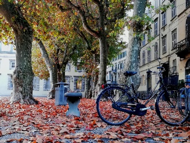 Foto Locale commerciale a Lucca Piazza Napoleone - San Michele di 225 m²