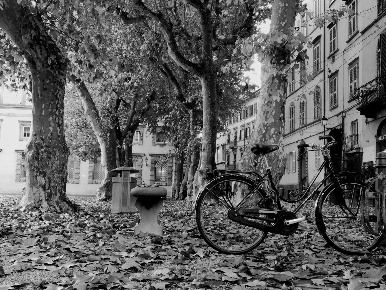 Foto Attività commerciale a Lucca Piazza Napoleone - San Michele di 50 m²