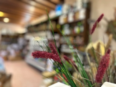 Foto Attività commerciale a Marostica Centro di 150 m² con 4 locali