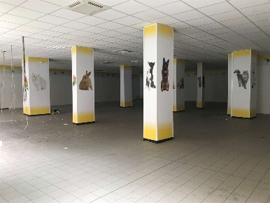 Foto Negozio a Ancona di 376 m² con 1 locali in vendita
