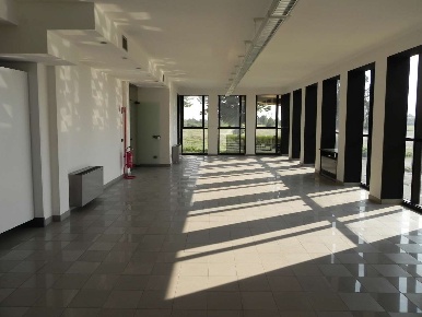 Foto Ufficio in via Carlo Cattaneo 100, Cesena San Mauro - San Rocco