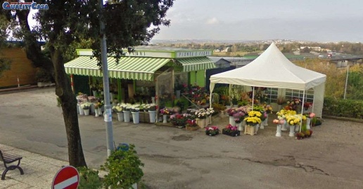 Foto Attività commerciale in Via Buozzi, Falconara Marittima Centro