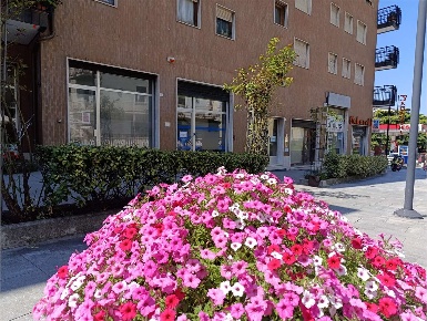 Foto Negozio in via marconi, Saint-Vincent Centro di 60 m² con 2 locali
