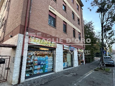 Foto Negozio in viale della Pace, Modena Buon Pastore - Parco Amendola