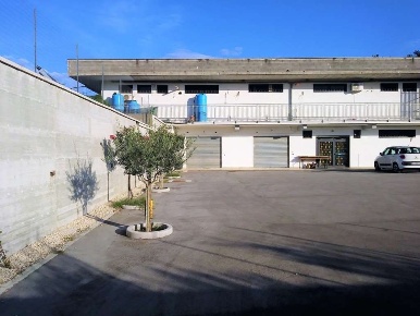 Foto Negozio a Alatri di 140 m² in affitto