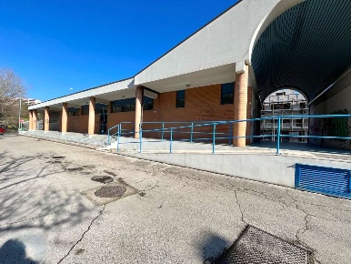 Foto Ufficio a Ancona di 250 m² con 6 locali in affitto
