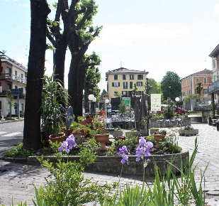 Foto Negozio a San Polo d'Enza di 39 m² con 2 locali in vendita