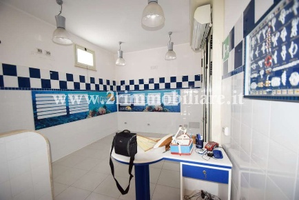 Foto Negozio in Via Gessai, Mazara del Vallo Via Marsala, Piazza Macello