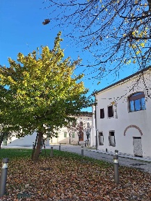 Foto Ufficio a Vittorio Veneto di 111 m² con 2 locali in vendita