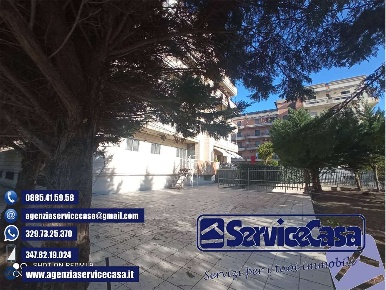 Foto Ufficio in VIA ADAMELLO, Cerignola di 120 m² con 5 locali in affitto