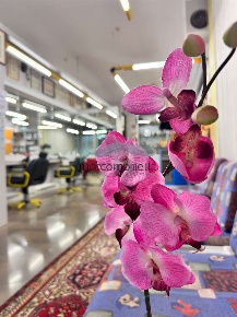 Foto Negozio in Via Dante, Vittorio Veneto Centro di 75 m² con 2 locali