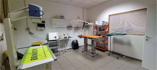 Foto Ufficio a Perugia di 84 m² con 4 locali in affitto