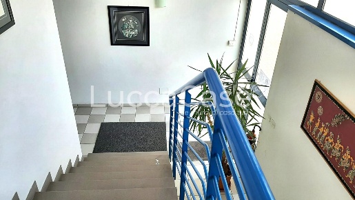 Foto Ufficio a Lucca Sant'Anna di 330 m² con 4 locali in vendita