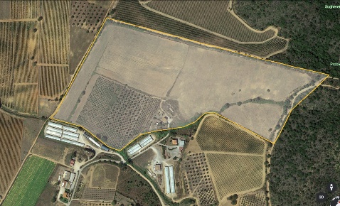 Foto Cessione attività a Magliano in Toscana di 200 m² con 8 locali